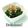 ＨＡＬ．Ｍ's cooksnap of when they made 短時間で☆ほうれん草のおひたし.