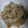 ☆ハッピーデイズ☆'s cooksnap of when they made 鱈とモヤシの味噌マヨ炒め！.