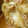 がんのすけ。's cooksnap of when they made かぶと白菜のトロ煮物.