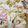 クック1U0YQ1☆'s cooksnap of when they made 家のマカロニサラダ！.