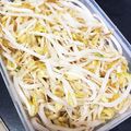 ぞつとぞつ美's cooksnap of when they made シャキシャキ☆もやしの保存方法☆.