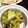 あたむ❤189's cooksnap of when they made アボカドとさつま芋の塩レモンサラダ.