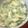 nonkomomo's cooksnap of when they made きのこ炒め.