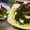 ココタロウママ's cooksnap of when they made Xmasツリー★ブロッコリーとミニトマト.