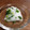 ももぶぅぅぅ's cooksnap of when they made ご飯が何杯でも食べれる簡単浅漬け.