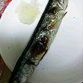 ユーロン's cooksnap of when they made シンプルで美味しい焼きさんま.