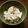 りこまこせいやのパパ's cooksnap of when they made 簡単‼︎白菜とツナの塩昆布和え.