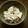 りこまこせいやのパパ's cooksnap of when they made 簡単‼︎白菜とツナの塩昆布和え.