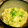 saki1010's cooksnap of when they made 豆腐の炒り卵.