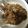 ちょめみるく's cooksnap of when they made 【離乳食後期】納豆ごはんのおやき.