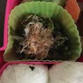 ☆みーい☆'s cooksnap of when they made 好き嫌い克服！ピーマンの簡単焼きびたし.