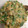 tarzan8888's cooksnap of when they made ★簡単旨い！メインになれる鶏団子★.