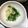 0127mayu's cooksnap of when they made 水菜のおひたし.