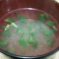 みぽぴぽ's cooksnap of when they made 温まる(*^o^*)大根のみぞれ生姜汁.