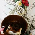 uka0430's cooksnap of when they made 簡単！ぜんざい☆あずき缶で関東風汁なし.