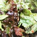 ソネチコ's cooksnap of when they made わしわし食べる 韓流レタス.