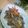 しょんず's cooksnap of when they made 牛肉と糸こんにゃくのきんぴら風.