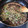 ミナヨイ's cooksnap of when they made 豚ひき肉とごぼうのそぼろ.