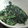kyokoha's cooksnap of when they made 簡単☆ほうれん草のにんにく炒め.