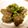 トクライ's cooksnap of when they made 大根菜とこんにゃくの味噌炒め.