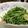 鏡月アセロラ's cooksnap of when they made たったの30秒！豆苗ニンニク炒め☆.