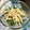 〜遊馬子〜's cooksnap of when they made 長芋と水菜の簡単サラダ.