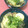 manamoon7's cooksnap of when they made 長芋と椎茸のわさびマヨネーズ炒め.