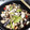 CHIHAMU's cooksnap of when they made 簡単 筑前煮.
