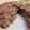 。・＊Reve＊・。's cooksnap of when they made セロリとチーズのスパイシーバーグ.