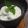 morvan's cooksnap of when they made キウイのフローズンヨーグルト.