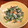 マサトレイン's cooksnap of when they made 春菊としらすの白和え.