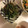 クックPW9C2T☆'s cooksnap of when they made いんげんの胡麻和え.