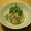 Lila's cooksnap of when they made 大根と水菜のぴりっとサラダ.