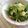 °＊リカぽん＊°'s cooksnap of when they made 水菜とりんごのサラダ.
