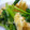 yukiはぴ's cooksnap of when they made ５分料理♫小松菜と油揚げのさっと炒め.