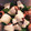 クックAY220G☆'s cooksnap of when they made 芽キャベツのオーブン焼き.