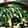 モーリス's cooksnap of when they made ほうれん草の海苔卵和え.