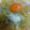門松なめこ's cooksnap of when they made 白菜の煮物　簡単私流.