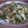 ワンピ's cooksnap of when they made アボガドとゆで卵のサラダ.