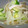 ゆうこリアン's cooksnap of when they made もやしのクイックナムル風.