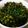 ちぃ★1107★'s cooksnap of when they made 大根葉のふりかけ.