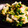 mack♪♪♪'s cooksnap of when they made 【作り置き】大根と昆布のめんつゆ漬け.