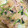 rin0418r24's cooksnap of when they made 我が家の定番！大根と豚バラの炒め煮.