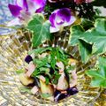 makichihua's cooksnap of when they made 茄子のベーコン大葉ホットドレサラダ.