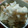かぴーな's cooksnap of when they made 【創味シャンタン】菊芋と厚揚げの簡単炒め.