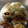 ぶうまろ's cooksnap of when they made 激ウマ！皮から手作り餃子.