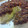 ゅき☆こｰちゃん's cooksnap of when they made ～やさしい秋の味～さつまいもムース.