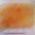 ＊雪月花＊'s cooksnap of when they made トマトとリンゴのゼリー（寒天）.