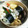 なおぴんこ's cooksnap of when they made 大根と胡瓜の簡単酢漬け.