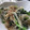 ちばたま's cooksnap of when they made えのきとほうれん草のナムル風♪.